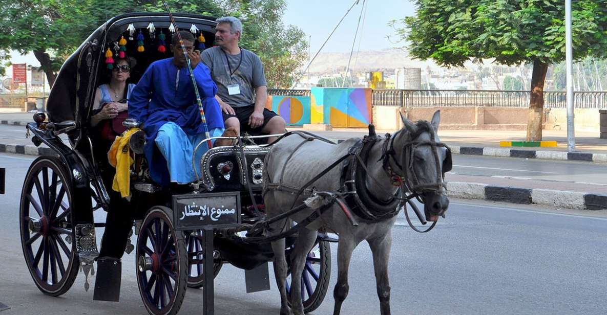 Luxor : Luxor City Tour By Horse Carriage Private Tour - Experience Highlights