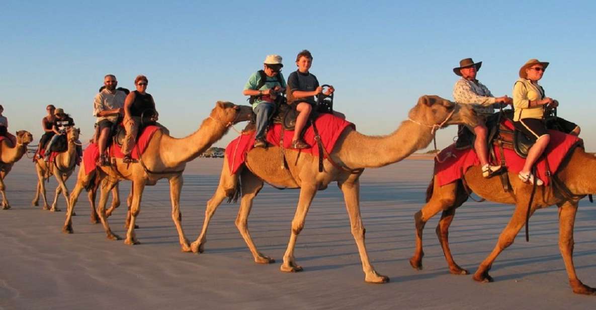 Luxor: Scenic Camel or Horse Ride - Booking Your Ride