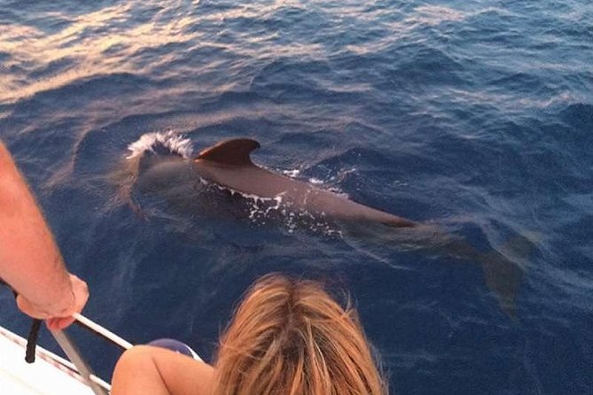 Luxury 3 Hour Yacht Private Charter - Meeting Point and Additional Details