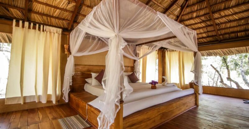 Luxury Camping and Safari Experience in Yala Park - Accommodation Details and Amenities