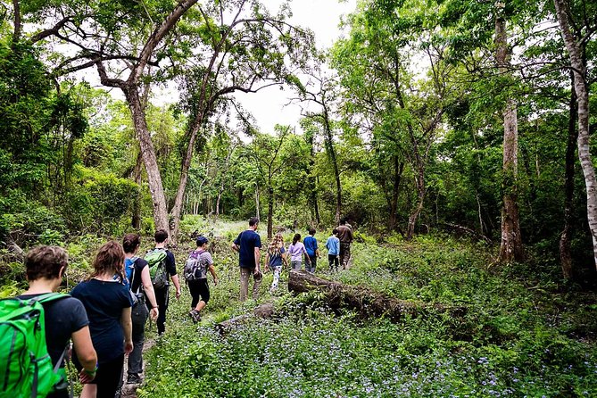 Luxury Chitwan Tour Package 2 Nights 3 Days From Kathmandu - Inclusions and Amenities