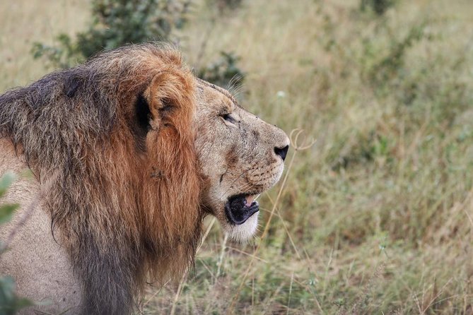 Luxury Okavango Safari - 3 Day - Accommodation and Amenities