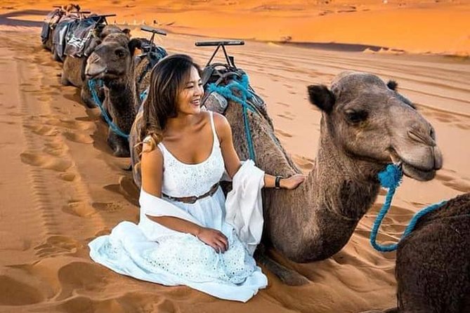 Luxury Overnight From Fez To Merzouga - Day 1 Itinerary Details