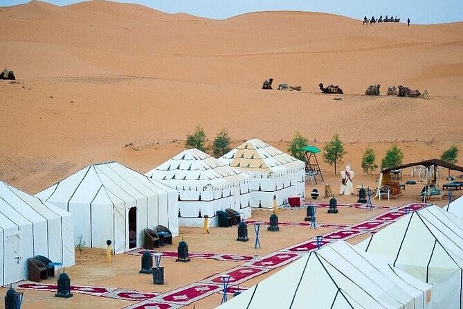 Luxury Sahara Desert From Fez Back to Fez or Marrakech Overnight - Experience Inclusions
