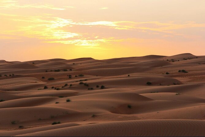 Luxury Sunset Desert Safari - Tour Highlights and Features