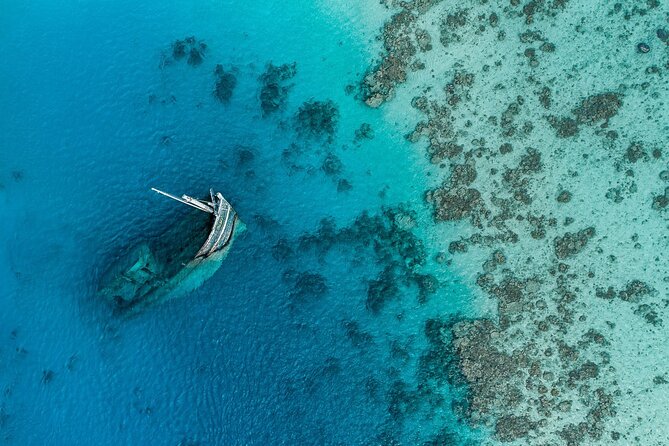 Maafushi: Ship Wreck & Nurse Shark Snorkeling With Dolphin Watching - Wildlife Encounters