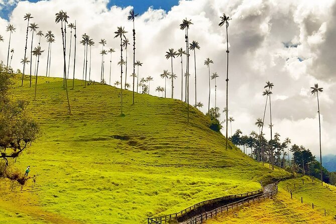 Machin Volcano Hill Tour From Salento - Inclusions and Pricing