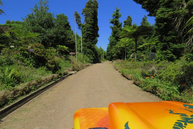 Madeira Highlights: Guided 4-Hour Tour From Funchal - Tour Expectations and Details