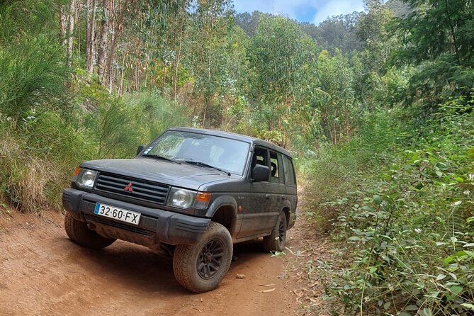 MADEIRA: Jeep Safari to Lava Pools and Seixal Full-Day West - Cancellation Policy