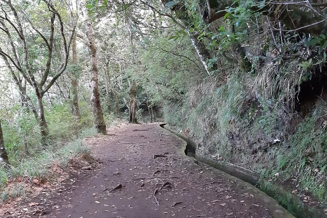Madeira: Private 1.5-Kilometer Levada Dos Balcões Hike PR11 - Difficulty and Duration