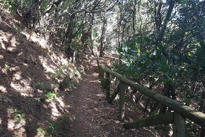 Madeira: Vereda Das Funduras Private Walking Tour PR5 - Requirements and Restrictions