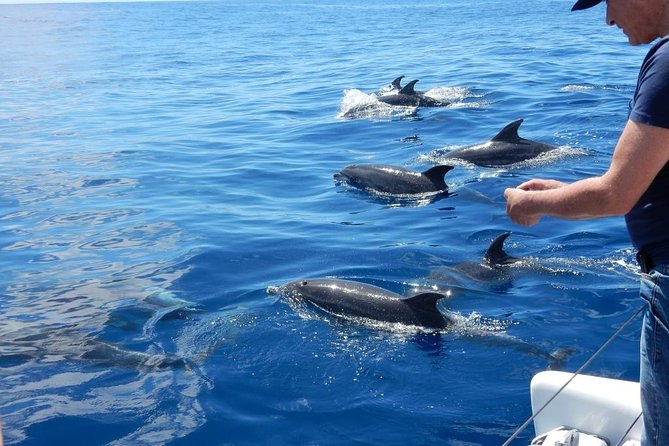 Magic Dolphin Celebrity - Excursion Inclusions