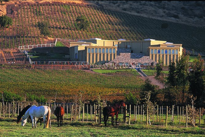 Maipo Valley Experience - Winery Visits and Tours