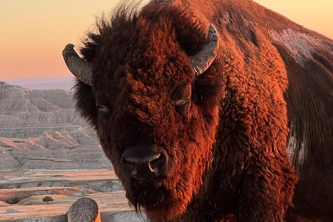 Majestic Landscapes: Badlands, Wall Drug, and Agate Hunts - Highlights of Badlands