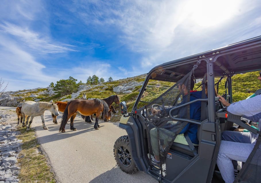 Makarska Skywalk Biokovo Tour - Experience Highlights