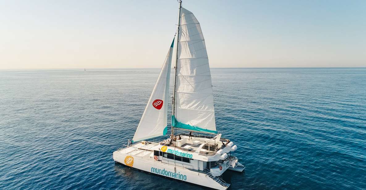 Malaga: Catamaran Sailing Trip With Sunset Option - Itinerary and Highlights