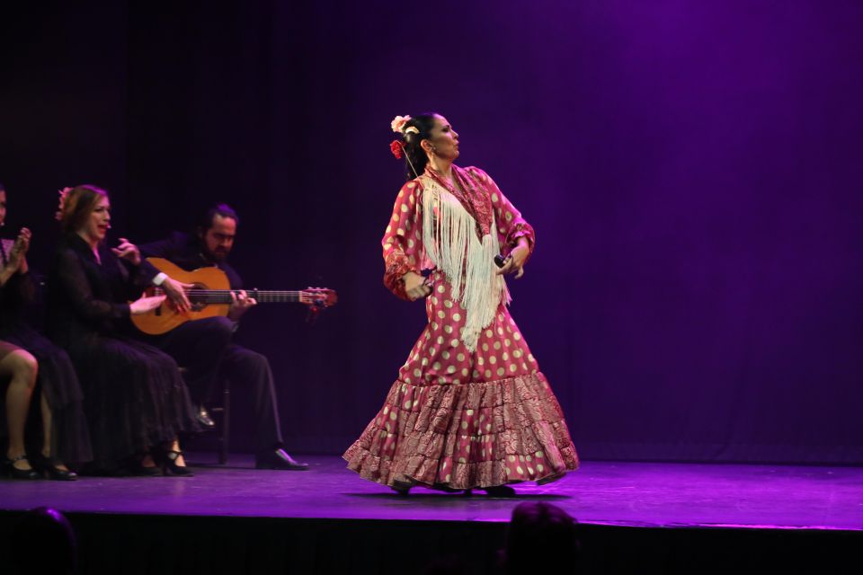 Malaga: Teatro Flamenco Malaga Live Flamenco Show - Performance Highlights