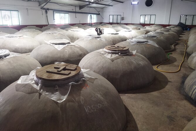Malaga Winery and Olive Mill Guided & Tasting Tour With Tapas - Exploration of Local Production
