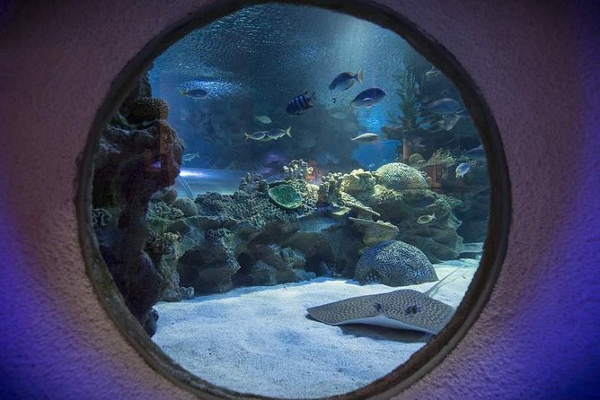 Malaysia: Aquaria KLCC Entry Ticket - Admission Pricing