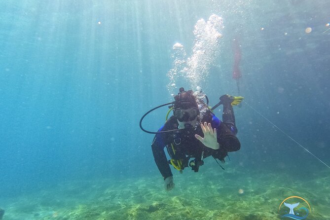Mallorca PRIVATE Scuba Dive + Photo/Video - Instructor Experience