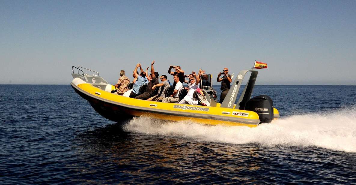 Mallorca : Speedboat, Snorkelling and Swimming Adventure - Experience Highlights