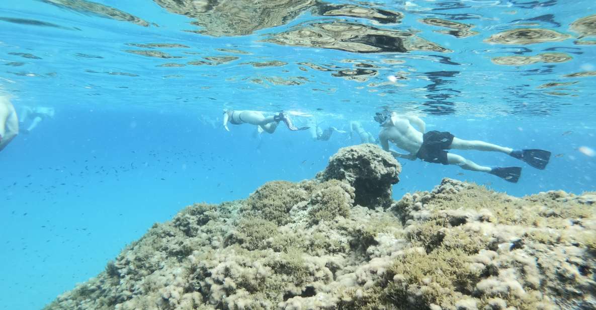 Malta: Snorkeling Tour - Experience and Highlights