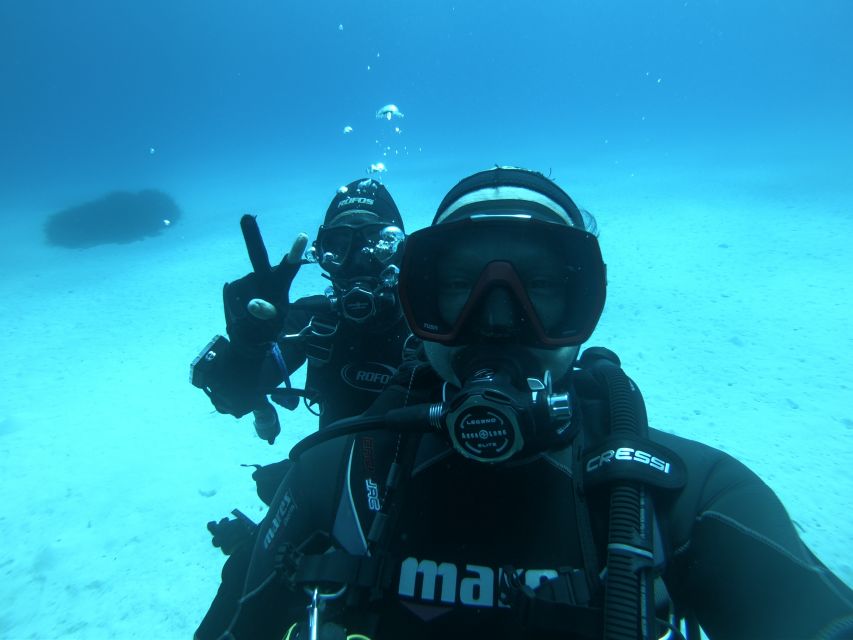 Malta: St. Pauls Bay 1 Day Scuba Diving Course - Course Structure and Certification