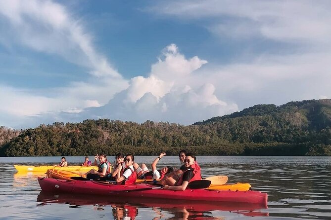 Mangrove Kayaking Experience in Borneo - Inclusions and Essentials