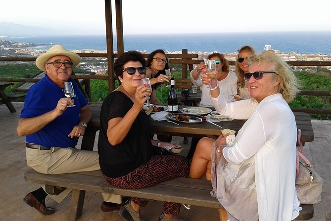 Manilva Oceanfront Wine Experience in the Marbella Area - Tour Details and Inclusions