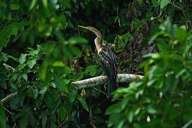 Manu National Park Tour 4 Days - Pickup Information