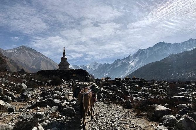 Mardi Himal Trek - Physical Fitness Requirements