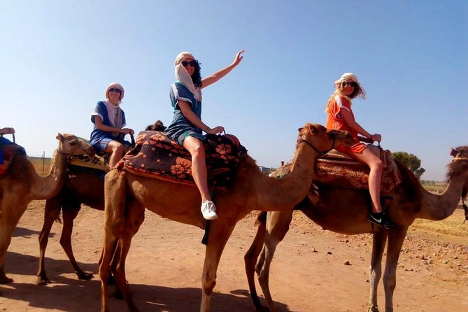 Marical Dinner and Camel Ride at Sunset in Desert of Marrakech - Detailed Itinerary