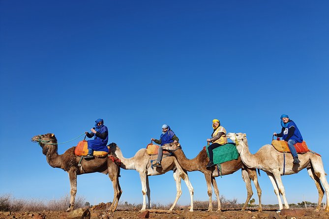 Marrakesh: Agafay Desert Tour With Lunch and Camel Ride - Meeting and Pickup Details
