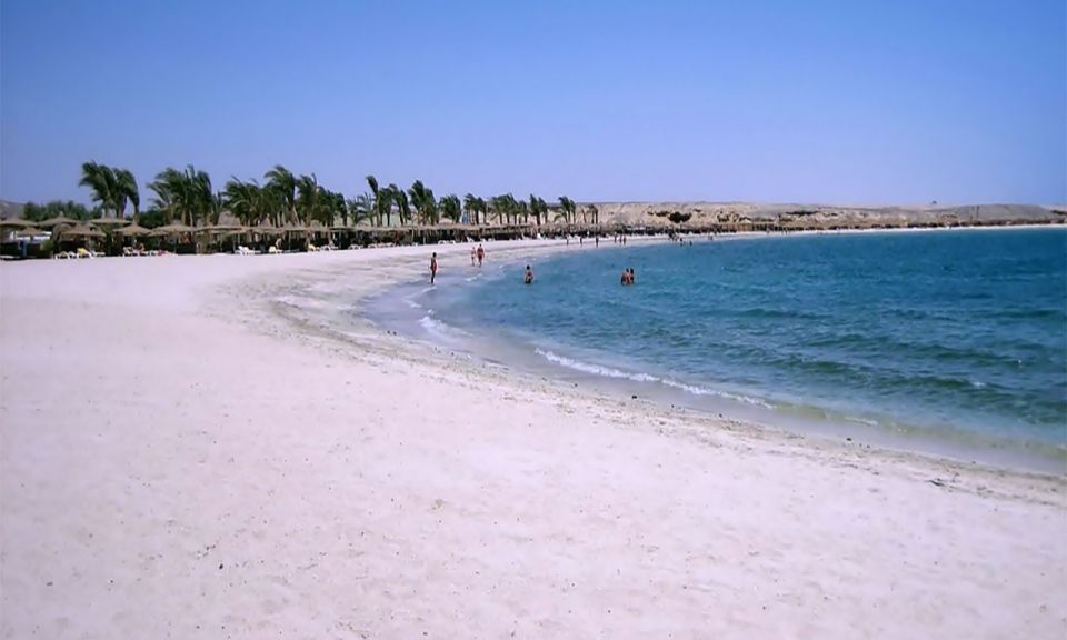 Marsa Alam: Abu Dabbab Snorkeling Tour - Location and Wildlife