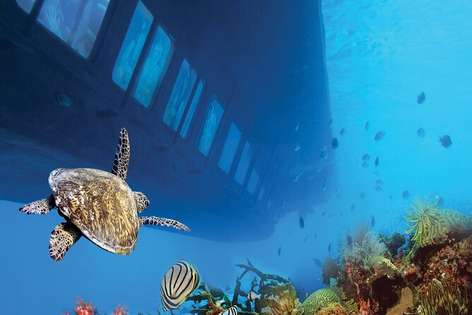 Marsa Alam: Royal Seascope Submarine Cruise With Pickup - Pickup Process and Confirmation