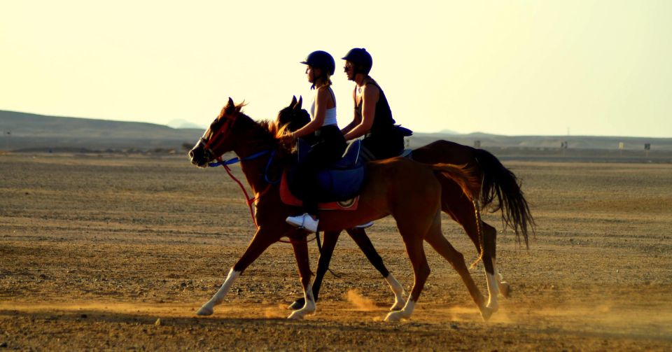 Marsa Alam: Sea and Desert Horse Riding Tour - Experience Highlights