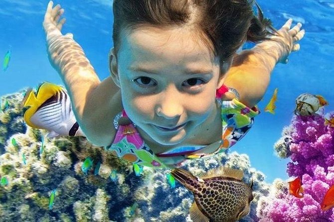 Marsa Alam: Snorkeling at Abu Dabab Beach - Encountering Native Marine Wildlife