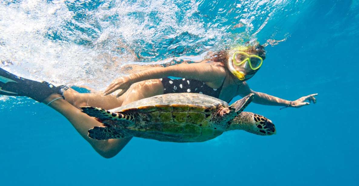 Marsa Alam: Snorkeling Boat Trip With Sea Turtles and Lunch - Detailed Itinerary