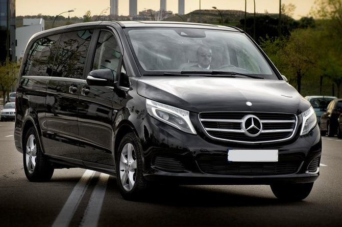 Marseille City Private Tour From Marseille Cruise Port or Hotel by Luxury Van - Customer Reviews and Feedback