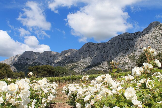 Marseille Shore Excursion - Private Full Day Wine Tour in Provence - Wine Tasting Experiences