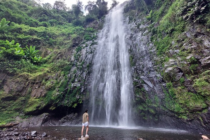 Materuni Waterfalls and Coffee Tour in Moshi - Pricing and Booking Details