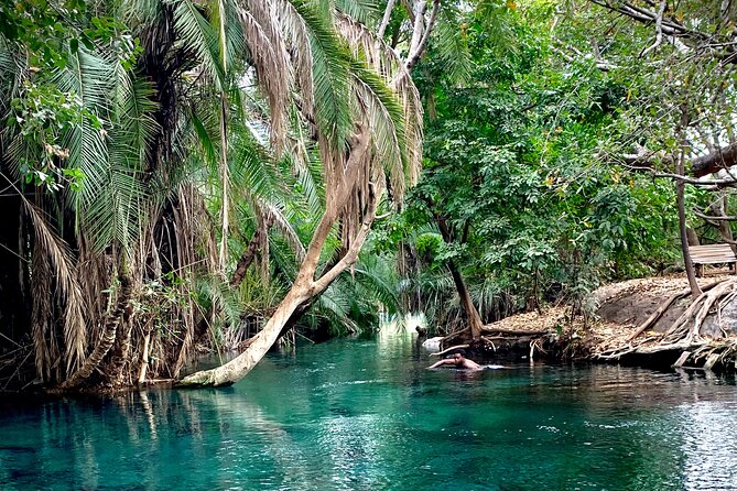 MATERUNI Waterfalls, Coffe Tour & Kikuletwa Hotsprings - Materuni Waterfall Experience