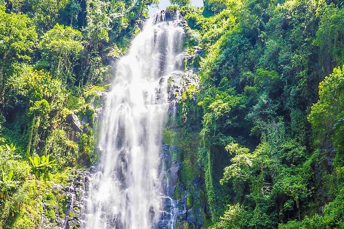 Materuni Waterfalls & Coffee Tour From Moshi - Itinerary Highlights
