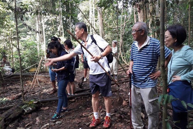 Medan - Bukit Lawang Fullday Tour - Trekking Adventure