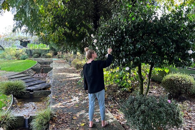 Meditation Experience at a Lovely Farm in Porto - Reviews and Guest Experiences
