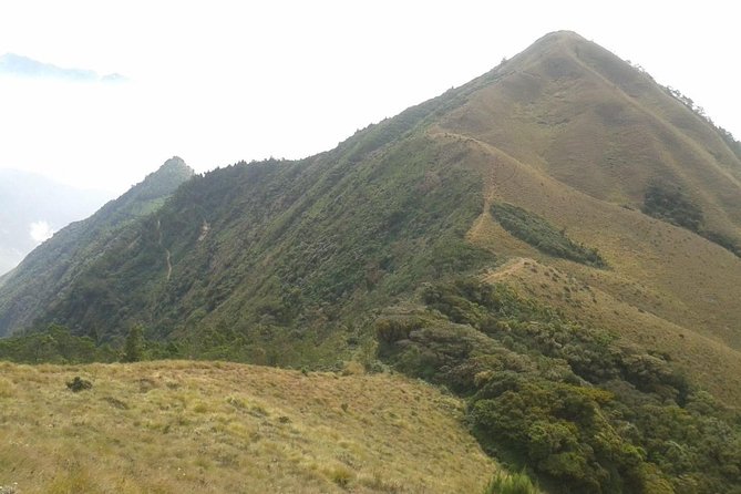 Meesapulimala Sunrise Trek( by Munnar Info) - Scenic Location