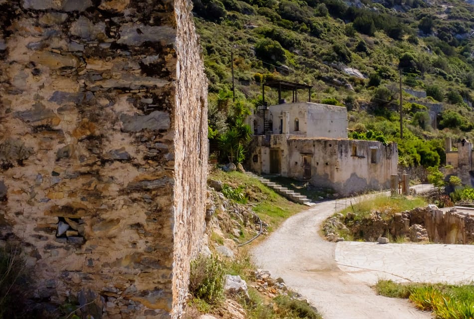 Meet the Trees in Cyclades Hiking (Small Group Experience) - Scenic Route and Highlights