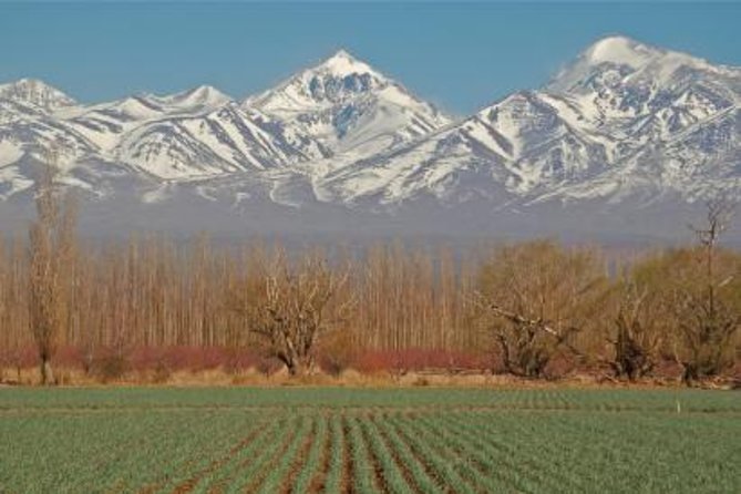 Mendoza City Tour - Highlights of the Tour