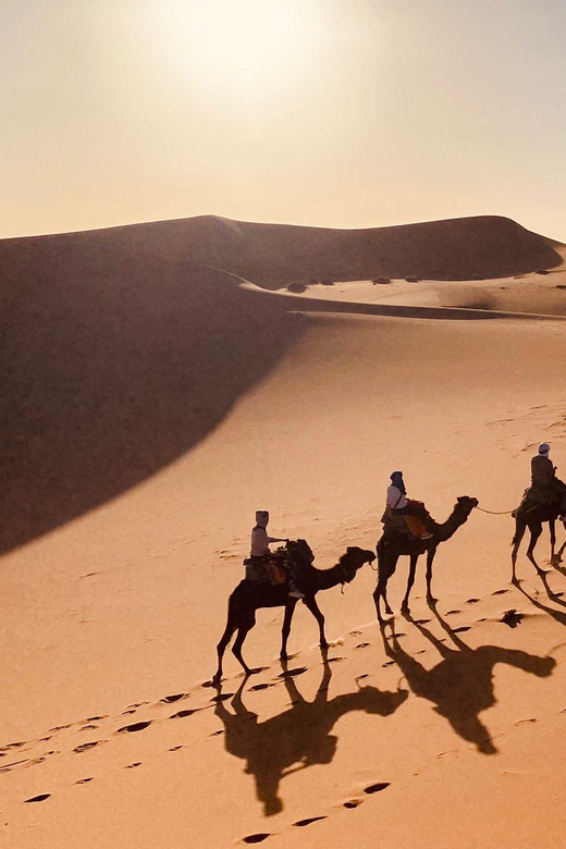 2 Best 3 Day Tours In Khemliya