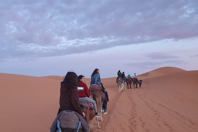 Merzouga Desert Campsite &Camel Excursions - Pickup Options Available